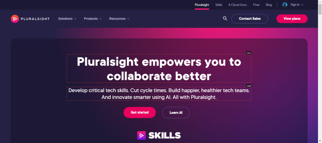 Pluralsight Review